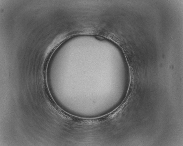 X0000073700198200608311738