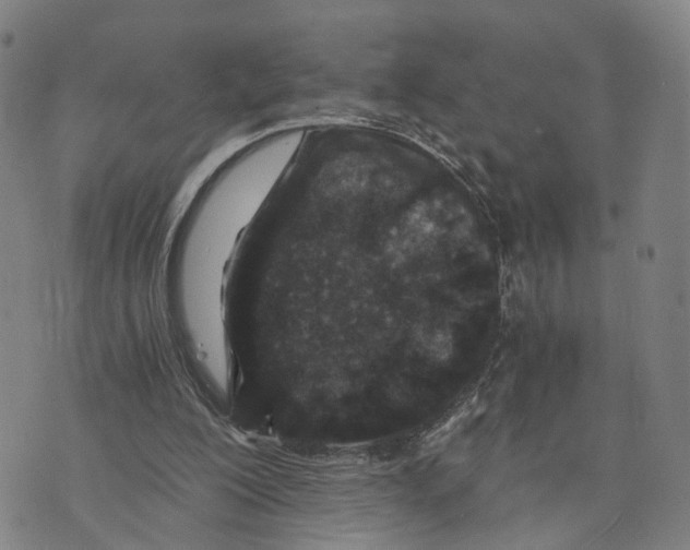 X0000073700200200608311738