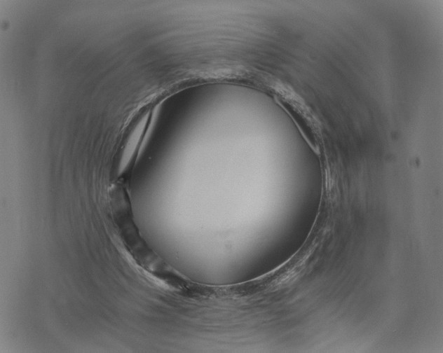 X0000073700201200608311738