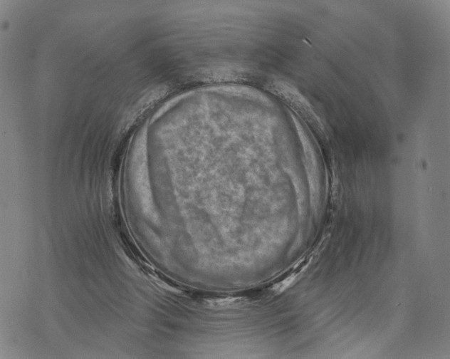 X0000073700202200608311738