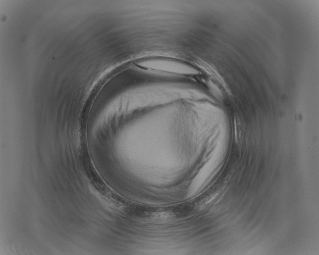 X0000073700204200608311738