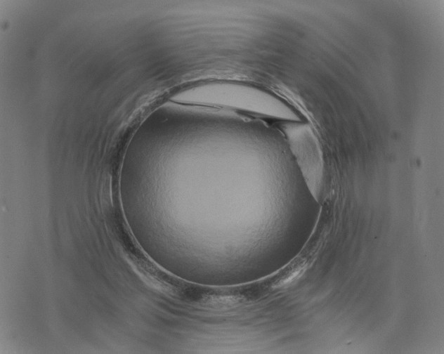 X0000073700205200608311738