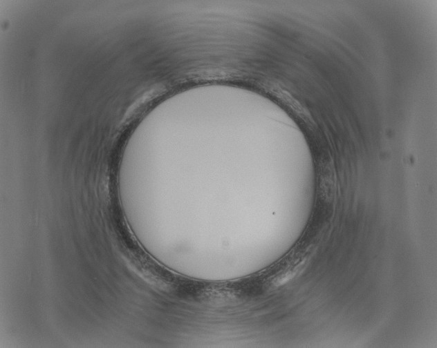 X0000073700207200608311738