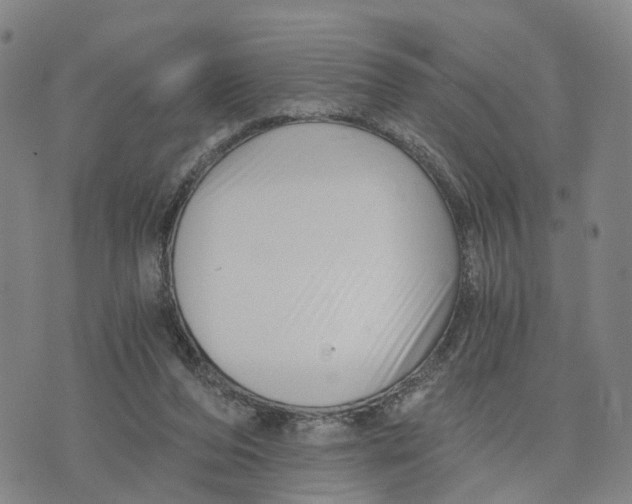 X0000073700208200608311738