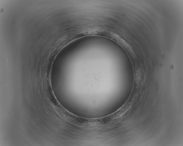 X0000073700209200608311738