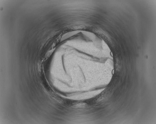 X0000073700210200608311738