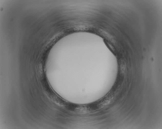 X0000073700211200608311738