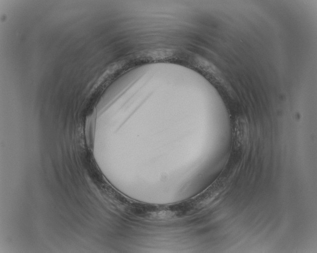 X0000073700212200608311738