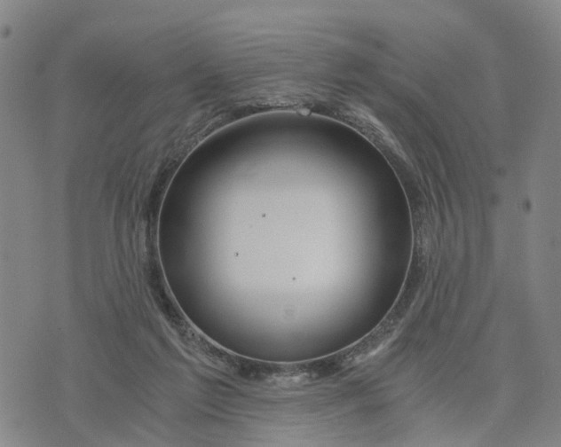 X0000073700213200608311738