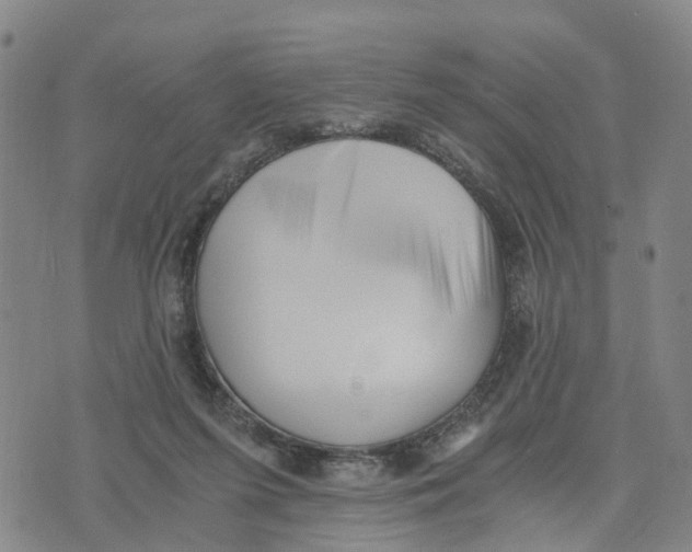 X0000073700215200608311738