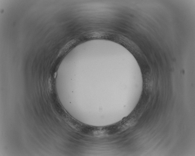 X0000073700216200608311738