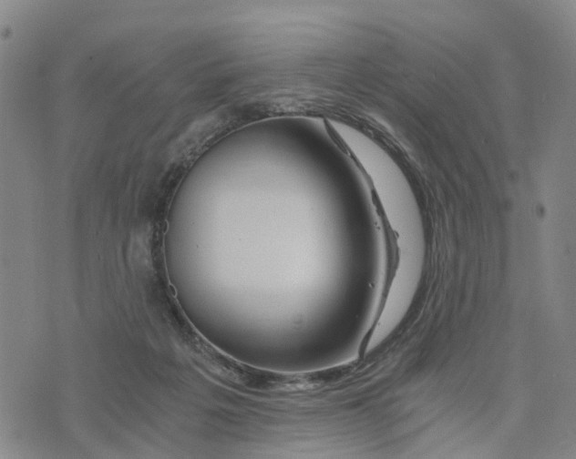 X0000073700217200608311738