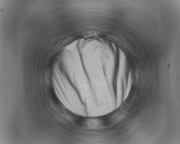 X0000073700218200608311738