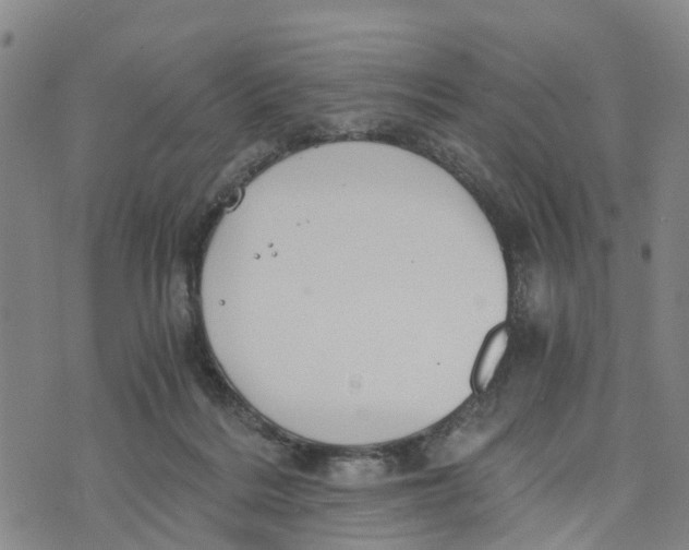 X0000073700220200608311738