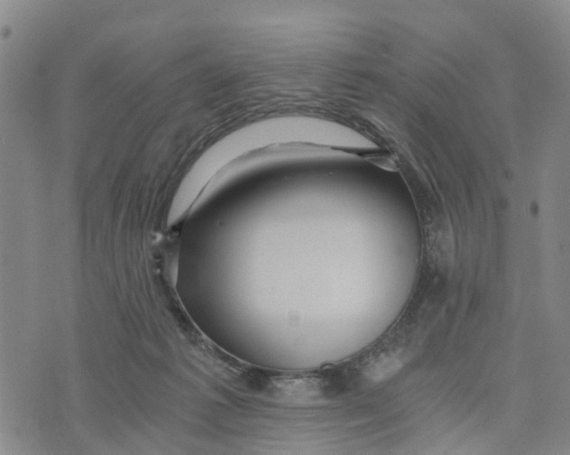 X0000073700221200608311738