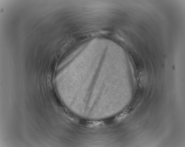 X0000073700222200608311738