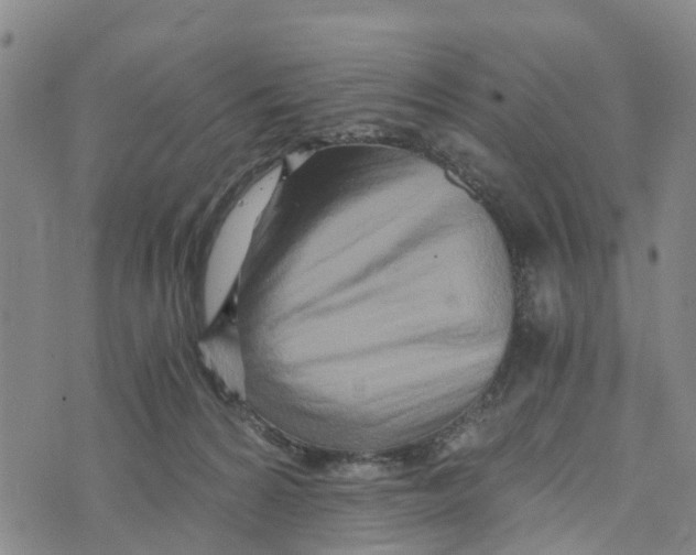 X0000073700224200608311738