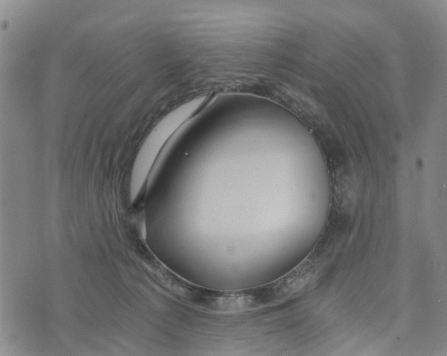 X0000073700225200608311738