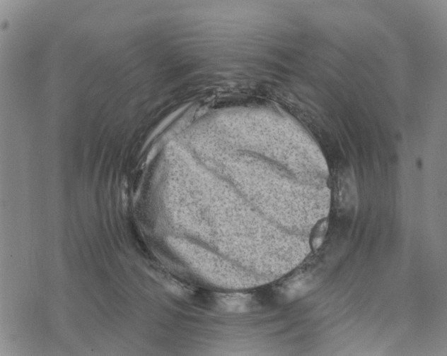 X0000073700226200608311738