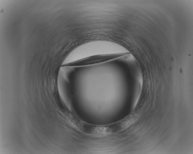 X0000073700227200608311738