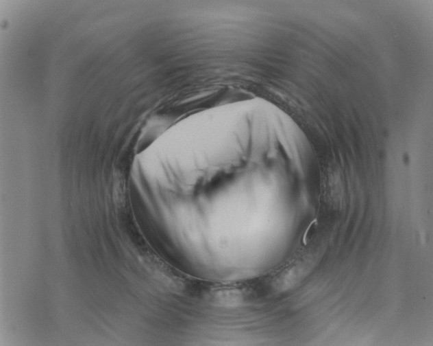 X0000073700228200608311737