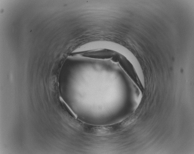 X0000073700229200608311737