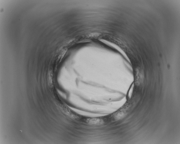 X0000073700230200608311737