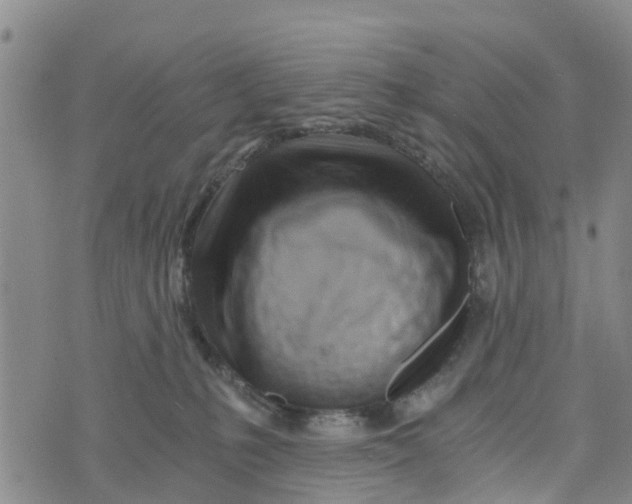 X0000073700231200608311737