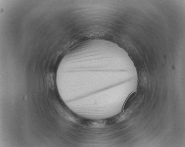 X0000073700232200608311737