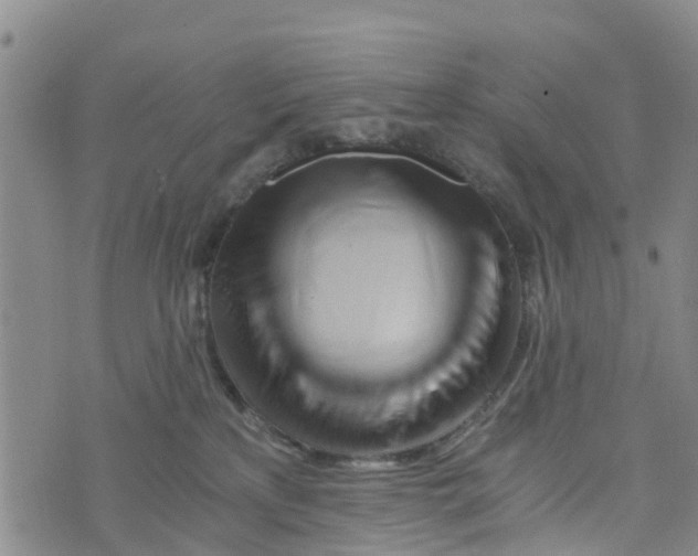 X0000073700233200608311737