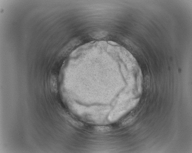 X0000073700234200608311737