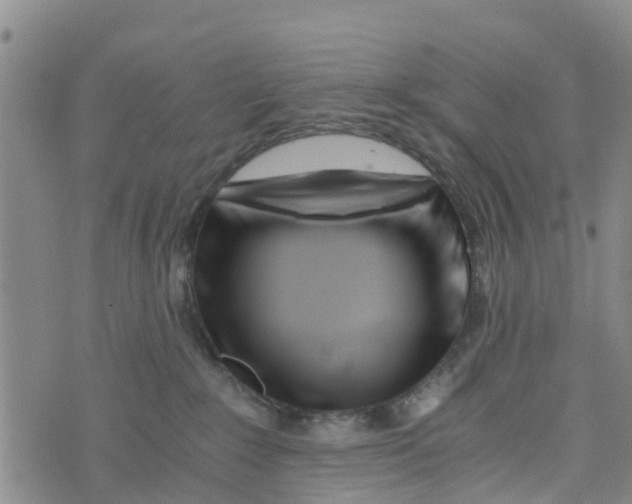 X0000073700235200608311737