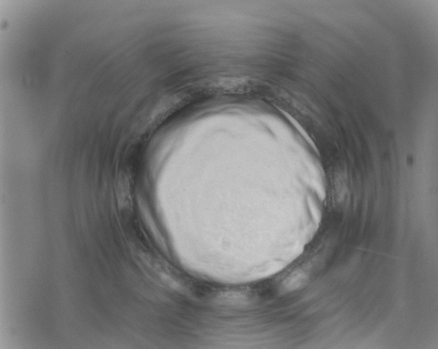 X0000073700236200608311737