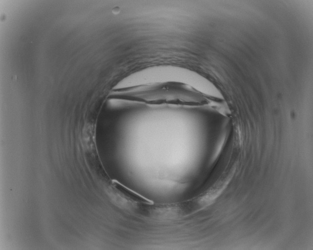 X0000073700237200608311737