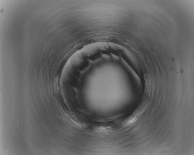 X0000073700239200608311737