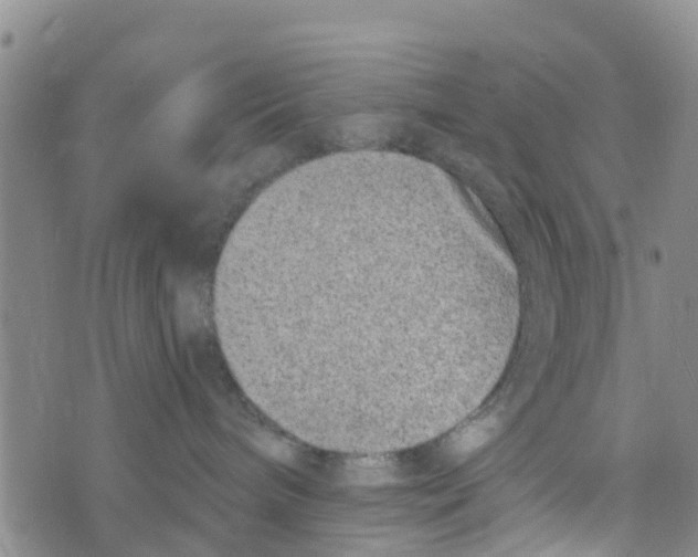 X0000073700240200608311737