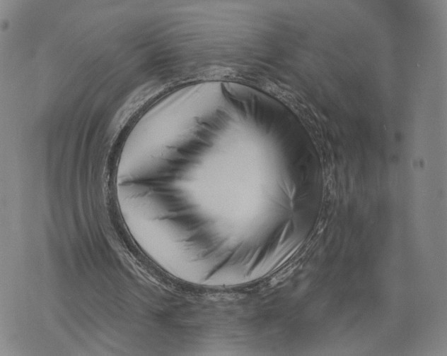 X0000073700242200608311737