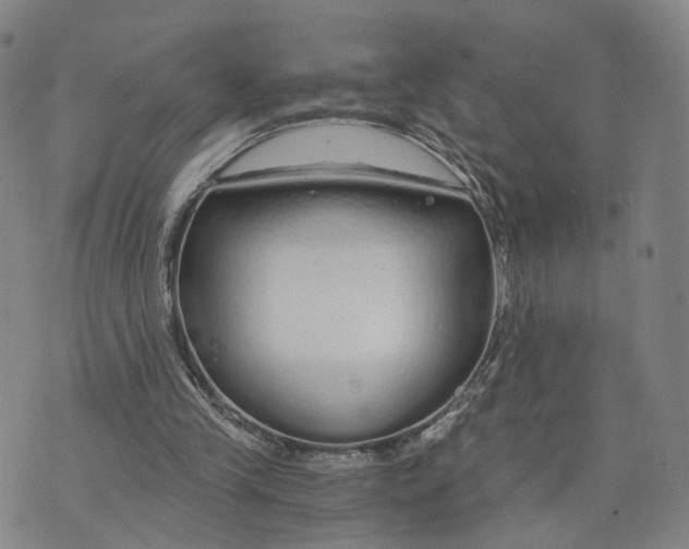 X0000073700245200608311737