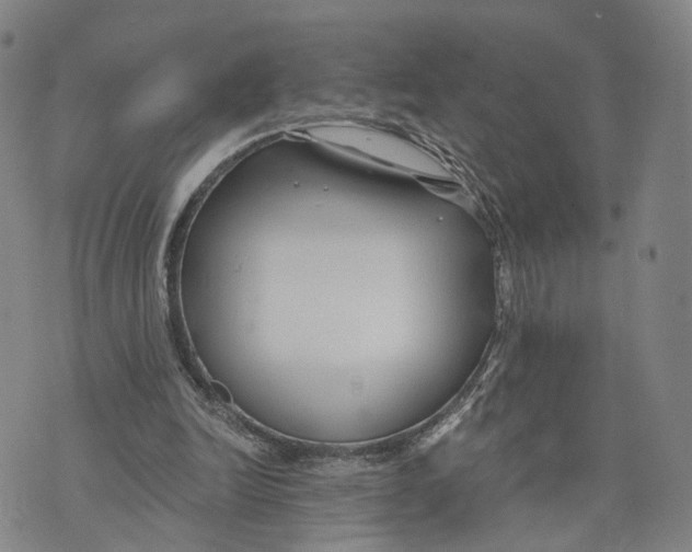 X0000073700246200608311737