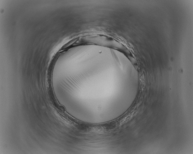 X0000073700248200608311737