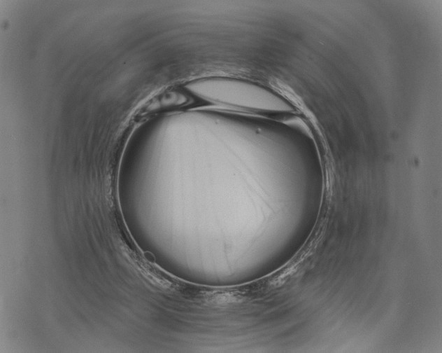 X0000073700249200608311737