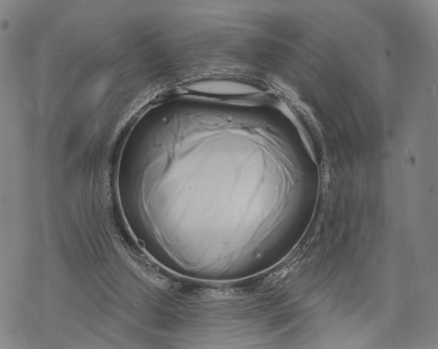 X0000073700250200608311737