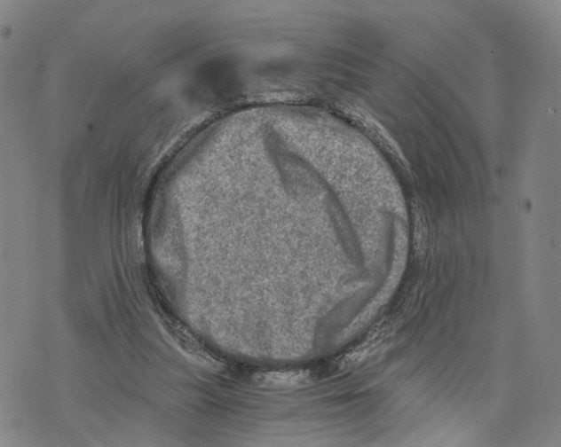 X0000073700251200608311737