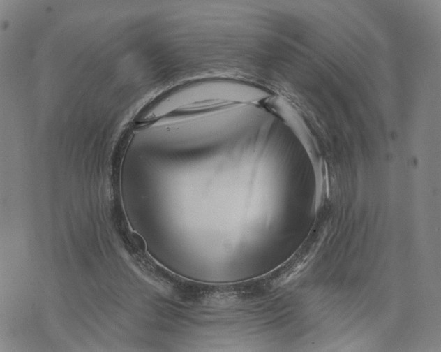 X0000073700252200608311737