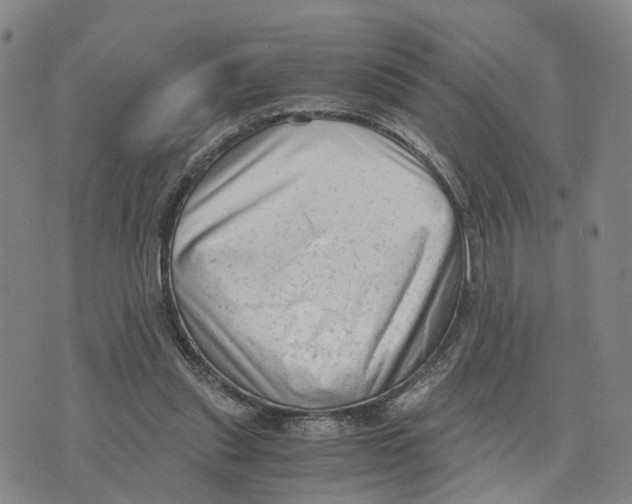 X0000073700253200608311737