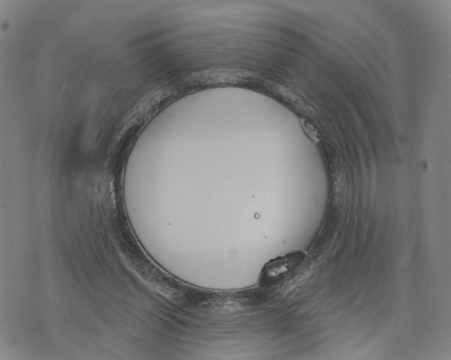 X0000073700254200608311737