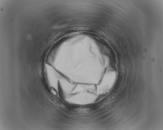 X0000073700255200608311737