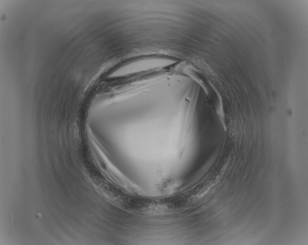 X0000073700256200608311737