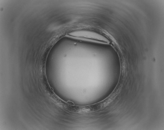 X0000073700257200608311737