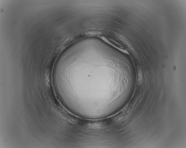 X0000073700259200608311737